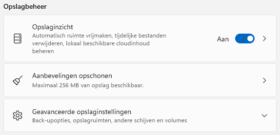 Windows 11: Opslaginzicht